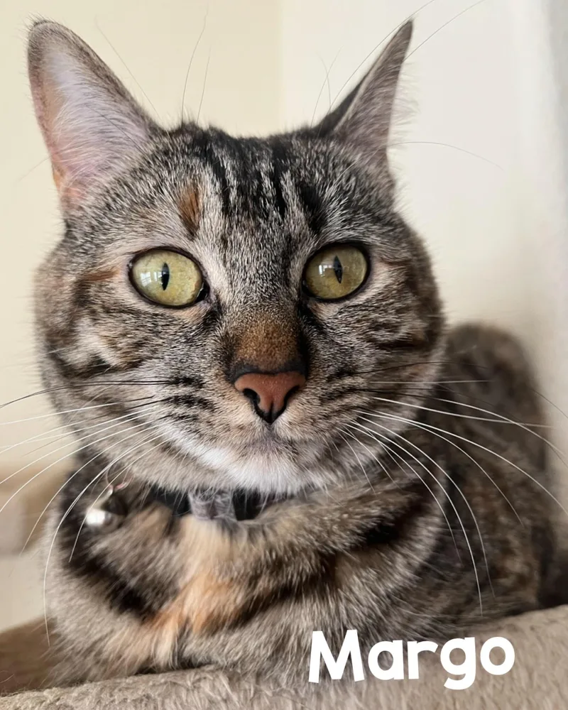 Margo