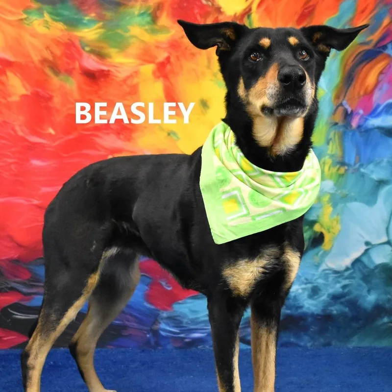 Beasley