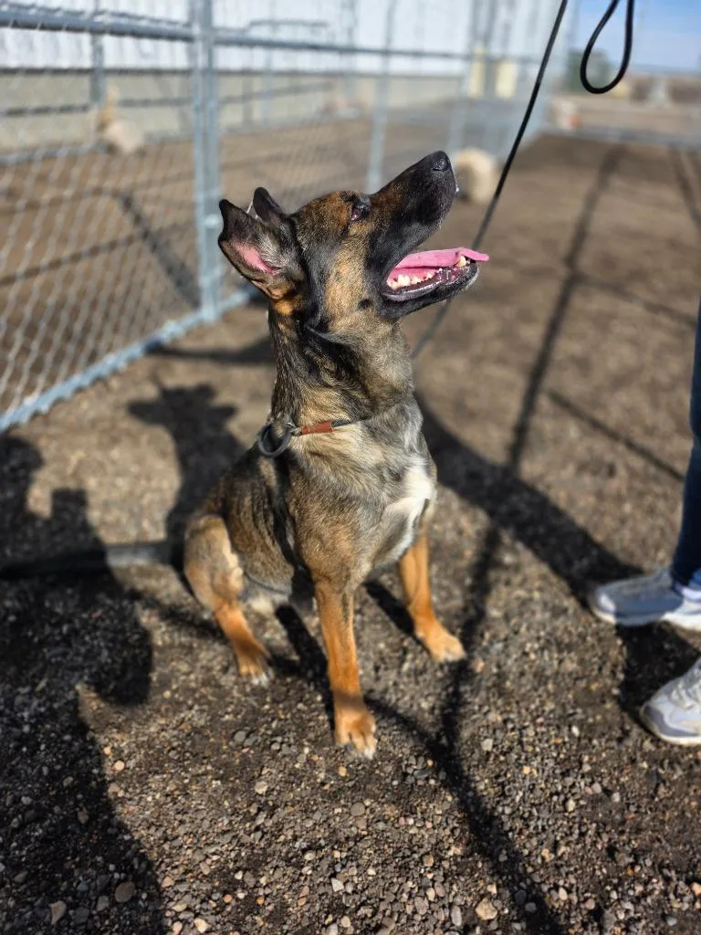 Radar [] thumbnail 2