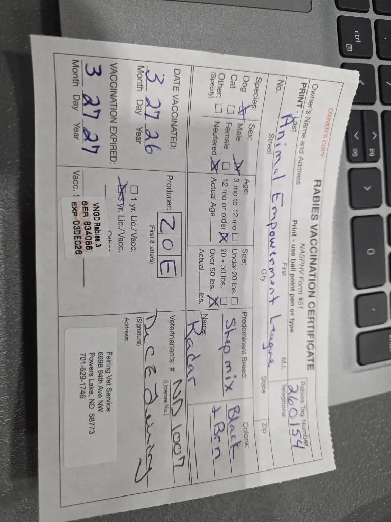 Radar [] thumbnail 3