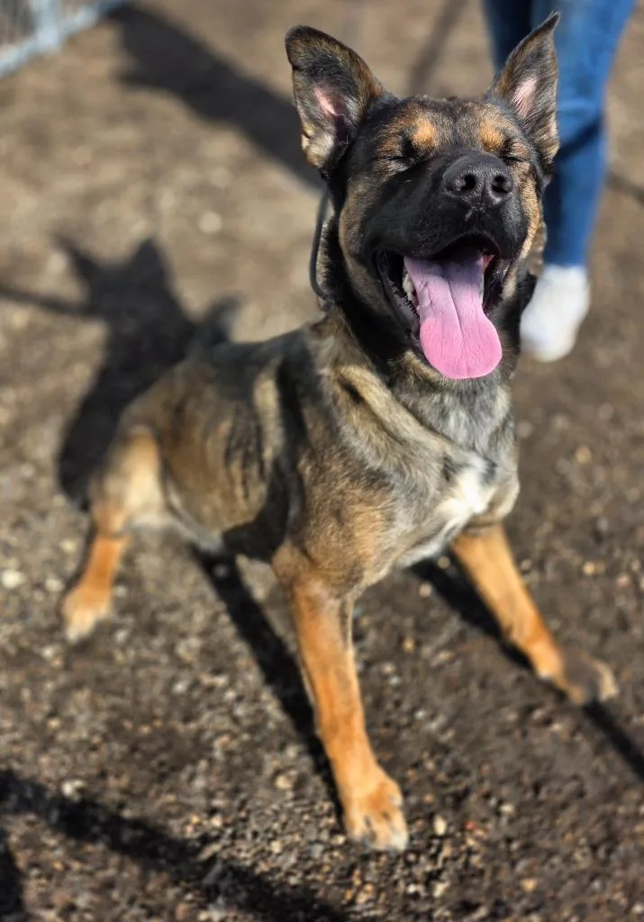 Radar [] thumbnail 4