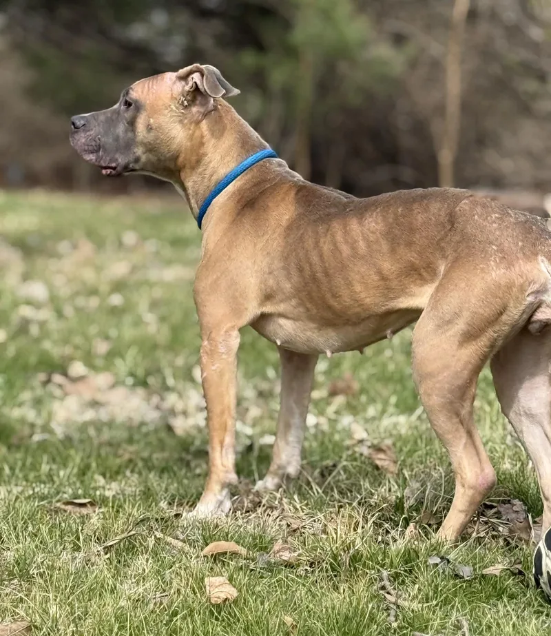 Gracie Lou thumbnail 3