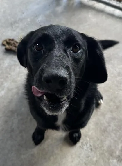 Nola Lady thumbnail 2