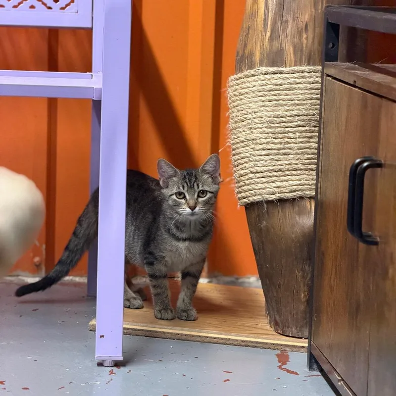 Tina