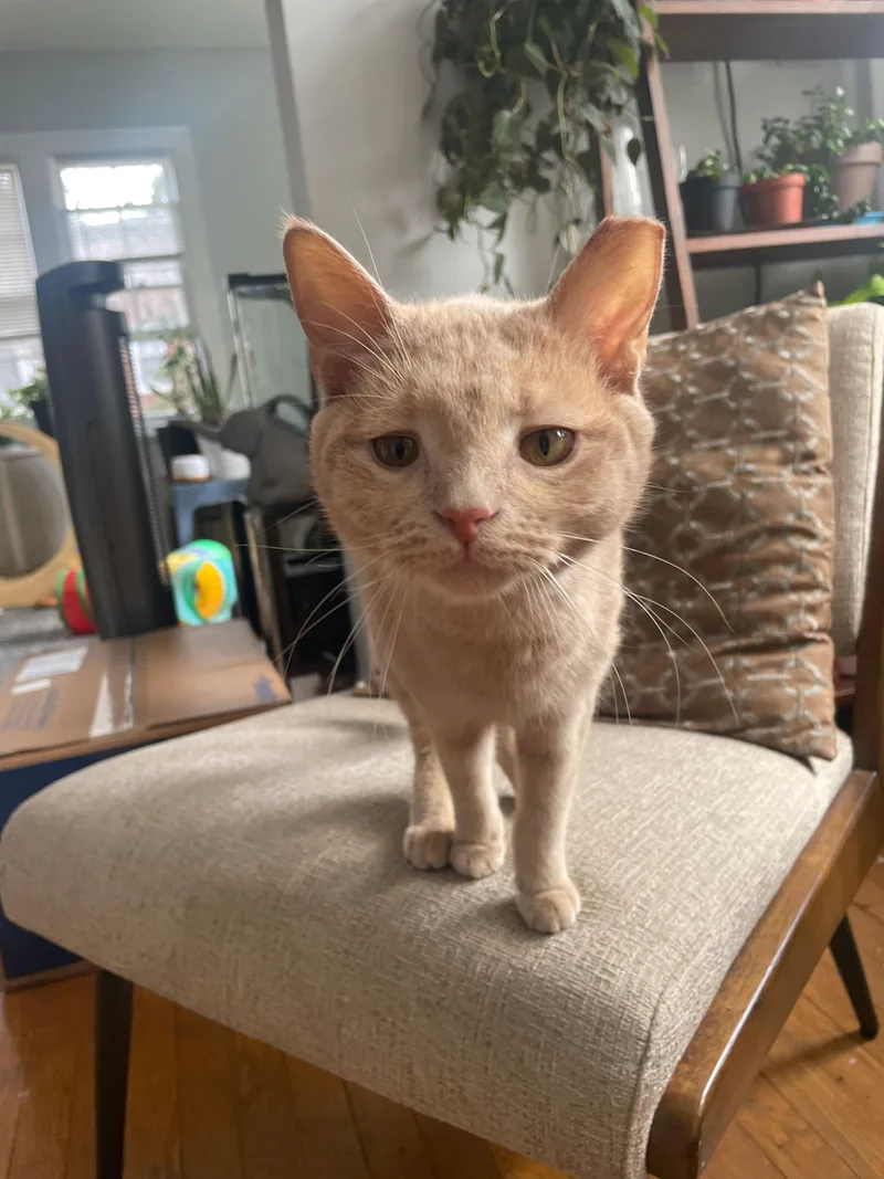 Winx thumbnail 2