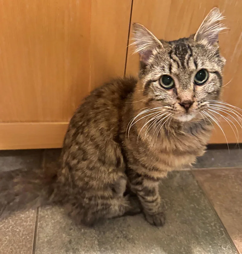 Samwise N  Offered thumbnail 3