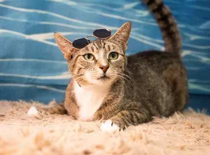 Elenore Fka Stick thumbnail 2