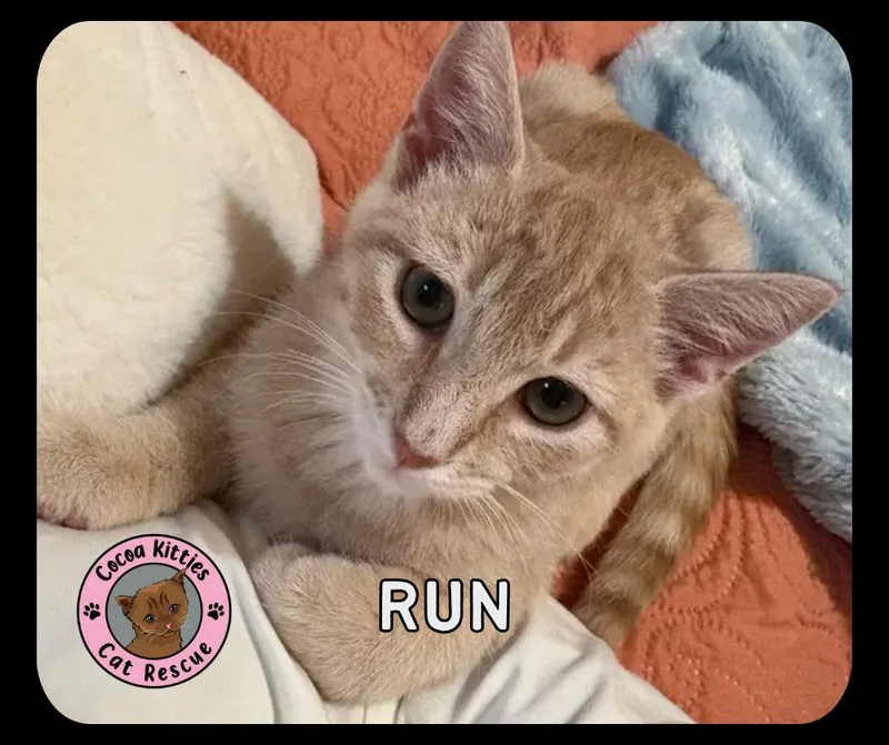 Run thumbnail 4
