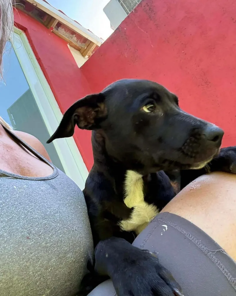 Roxy thumbnail 5