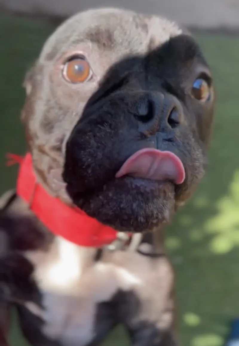 Midnight thumbnail 3