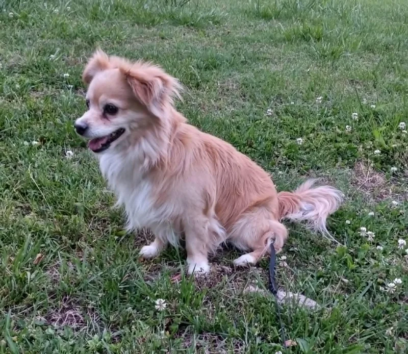 Happy Baby In Kentucky thumbnail 3