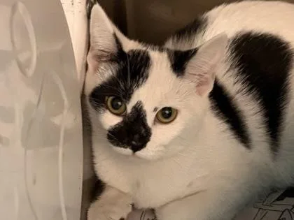 Twilight thumbnail 2