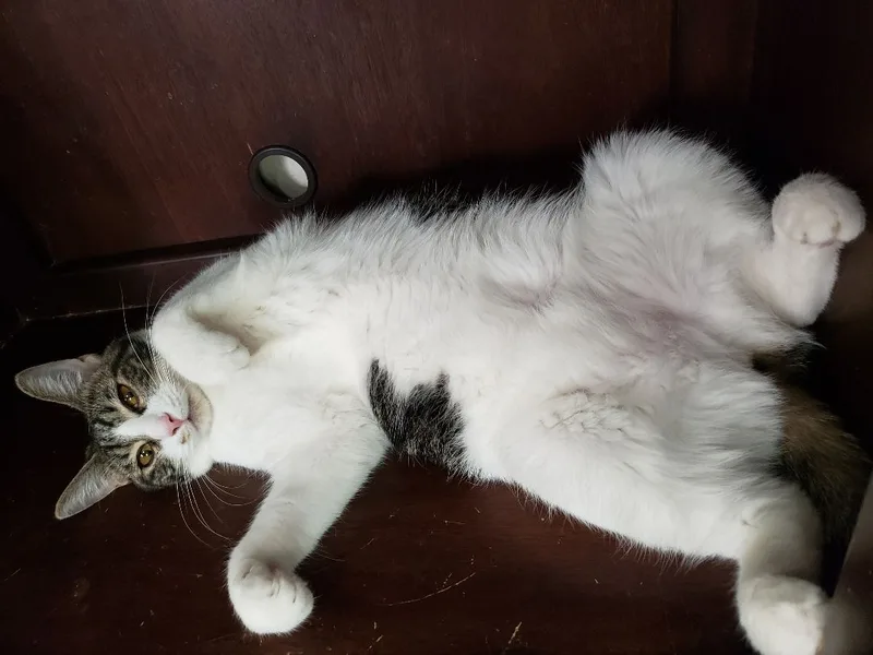 Sharleen thumbnail 2