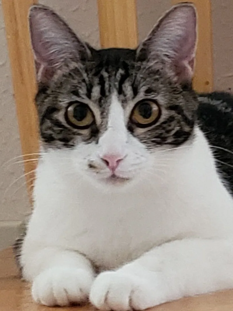 Sharleen thumbnail 5