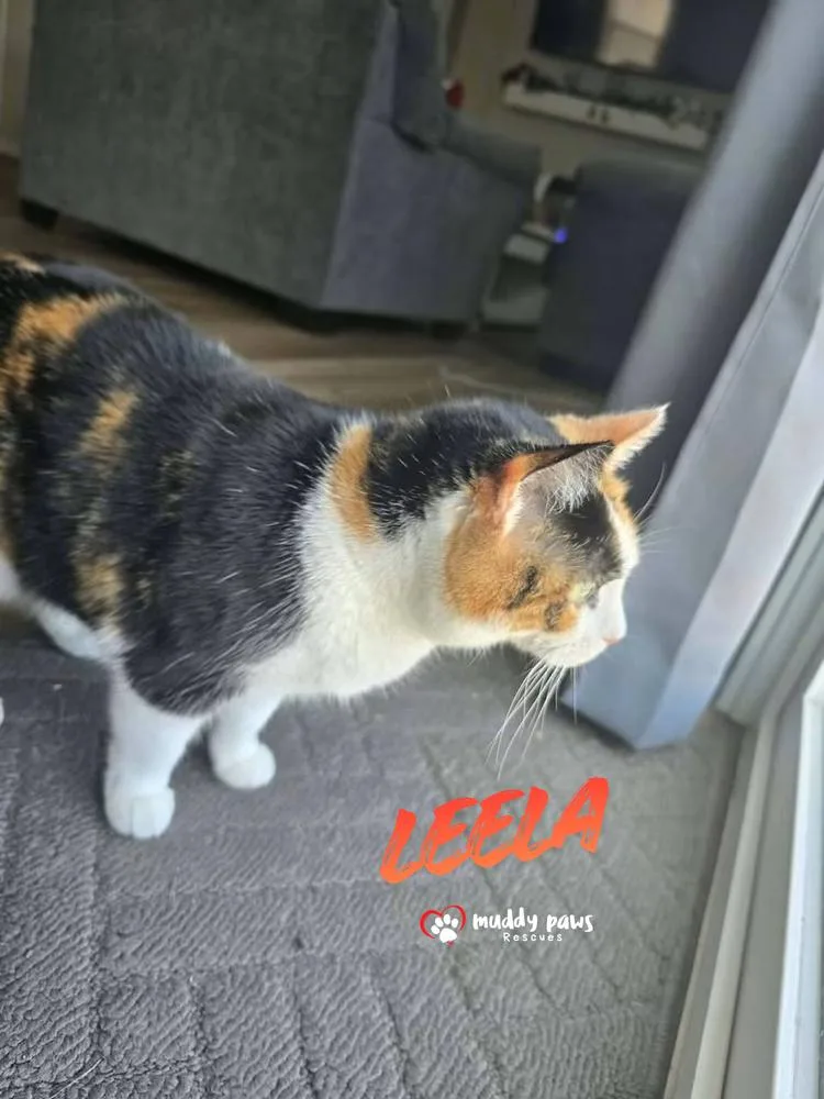 Leela aka Pennie Lane thumbnail 6