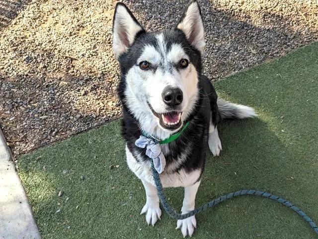 Alaska