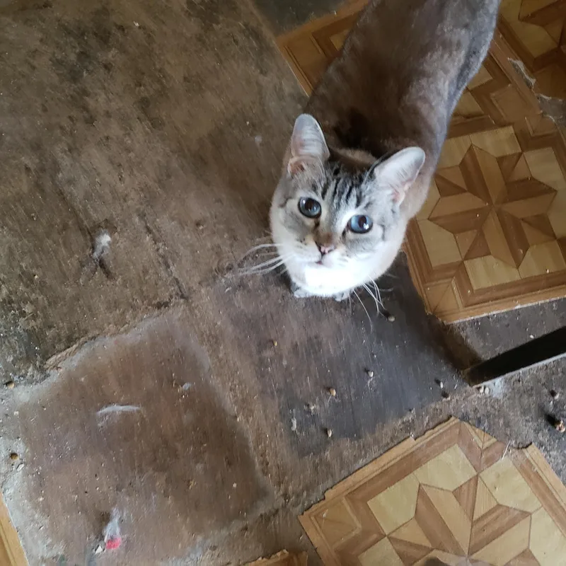 Lucy