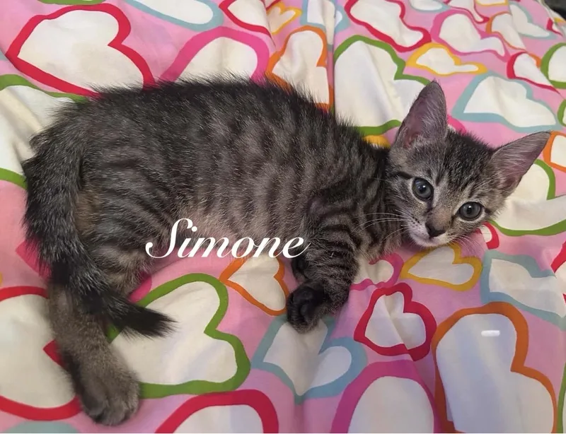 Simone and Turia thumbnail 3