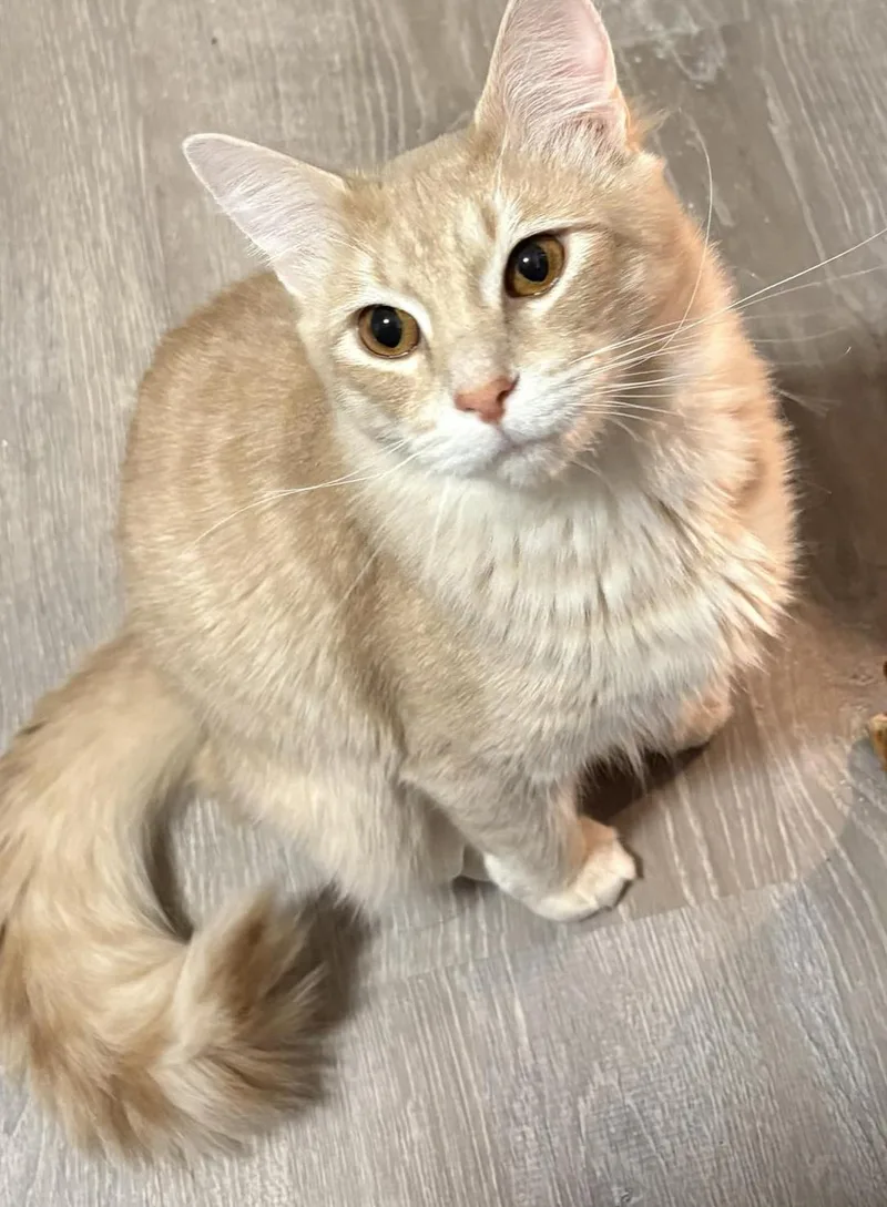 Skipper Is Just Bubbling