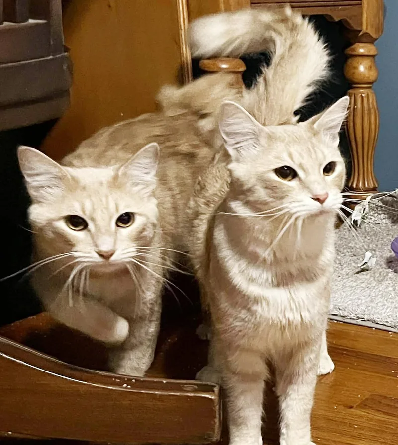 Skipper Is Just Bubbling thumbnail 2