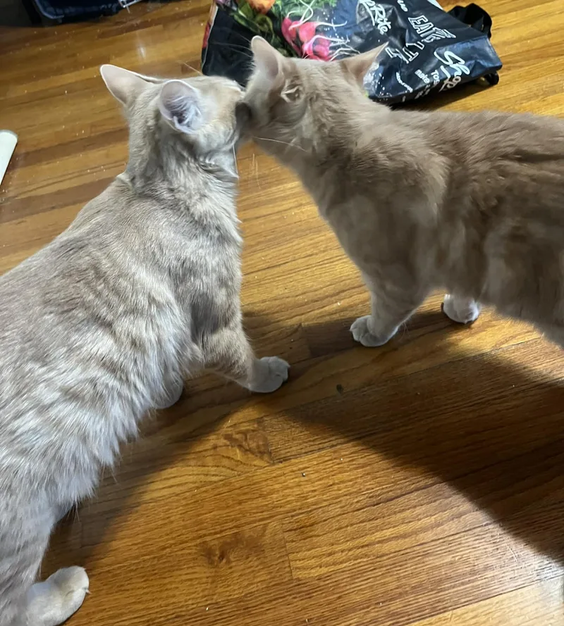 Skipper Is Just Bubbling thumbnail 3