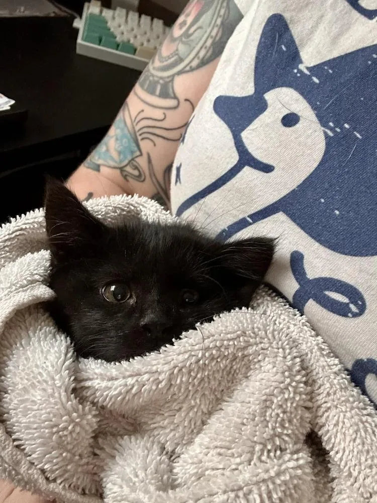 Remy