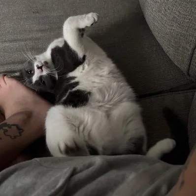 Candy Cane thumbnail 2