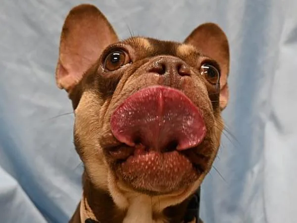 Coco