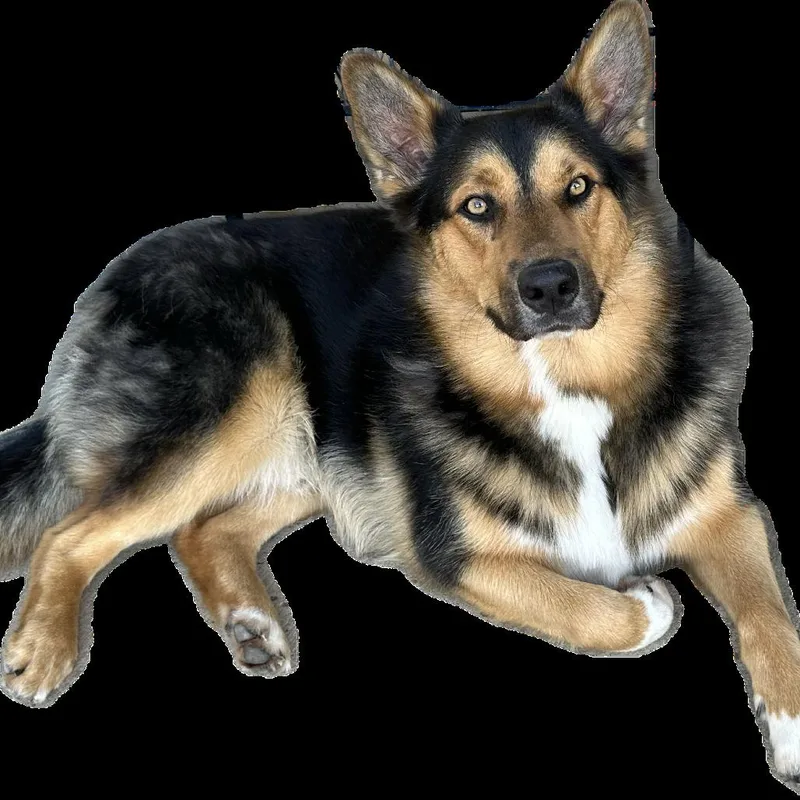 Coltrane thumbnail 2