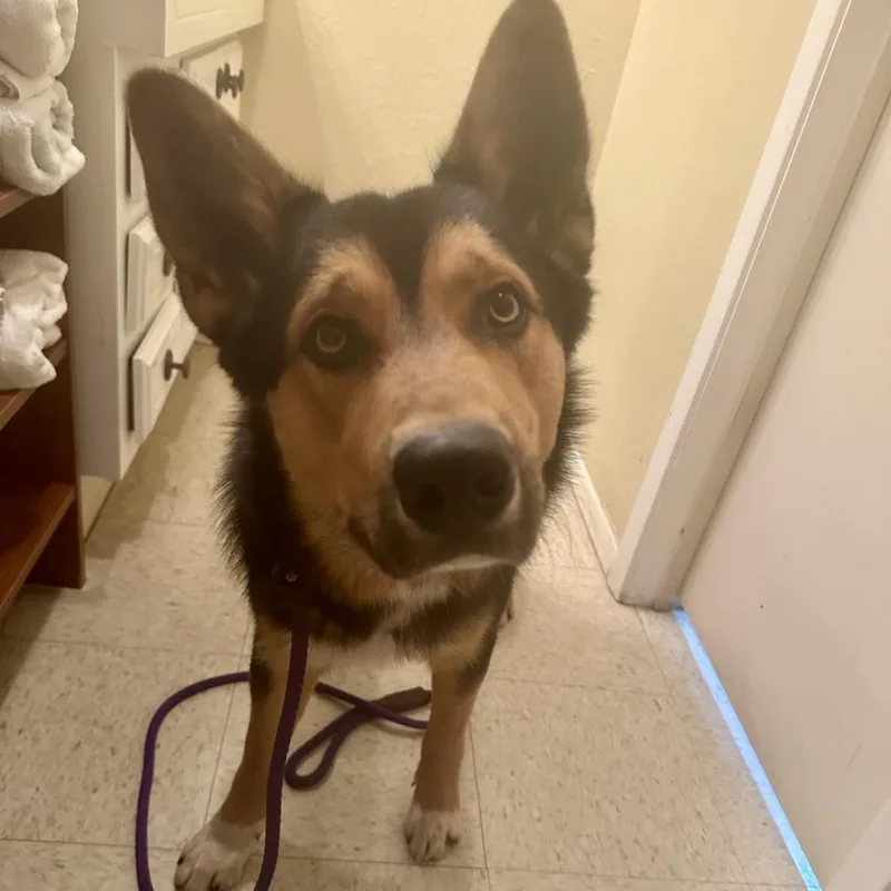 Coltrane thumbnail 3