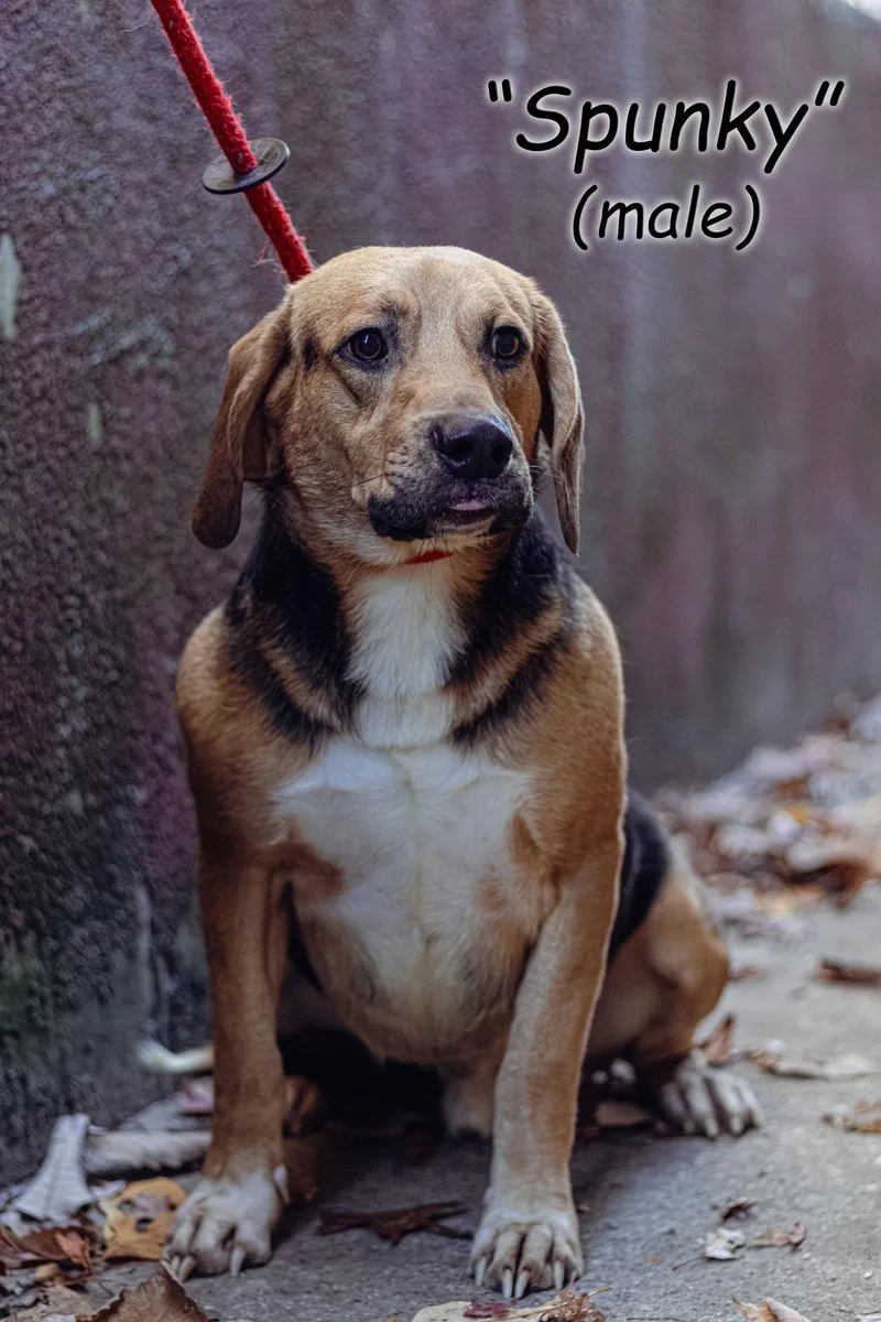 Spunky
