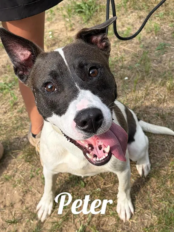 Peter