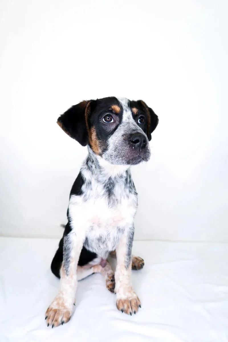 O'malley thumbnail 6