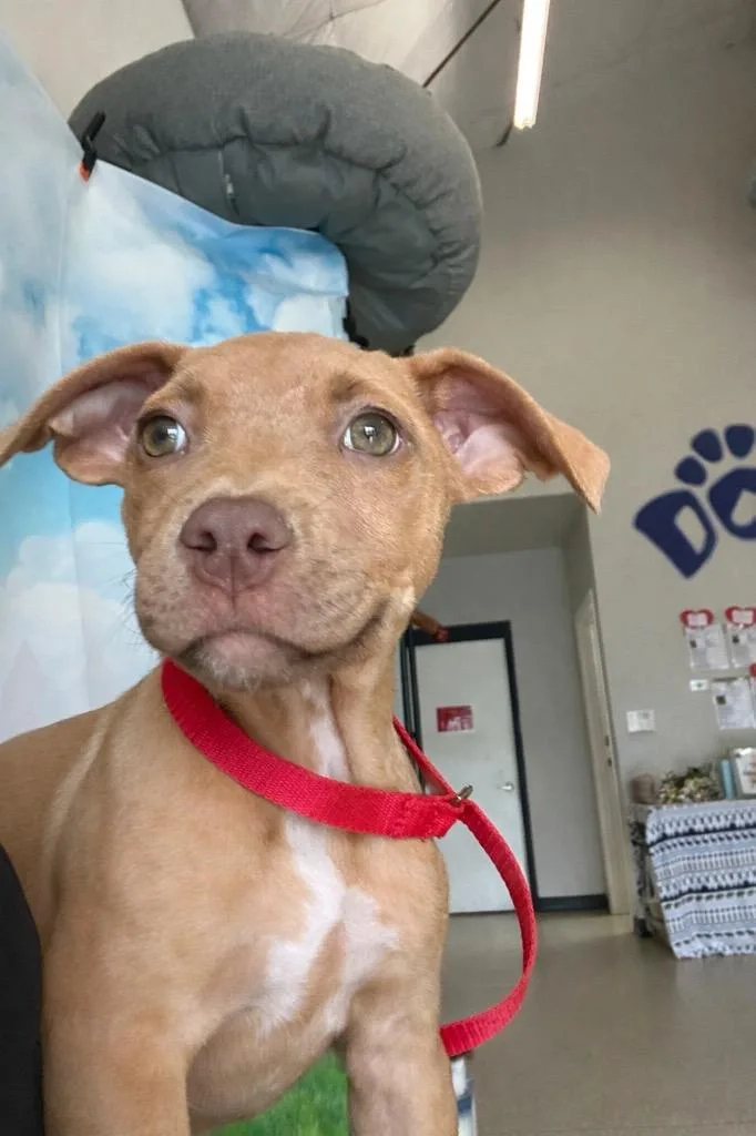 Valentina thumbnail 2