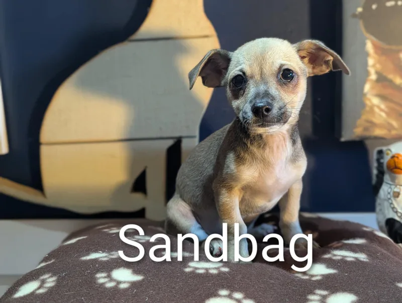 Sandbag thumbnail 3