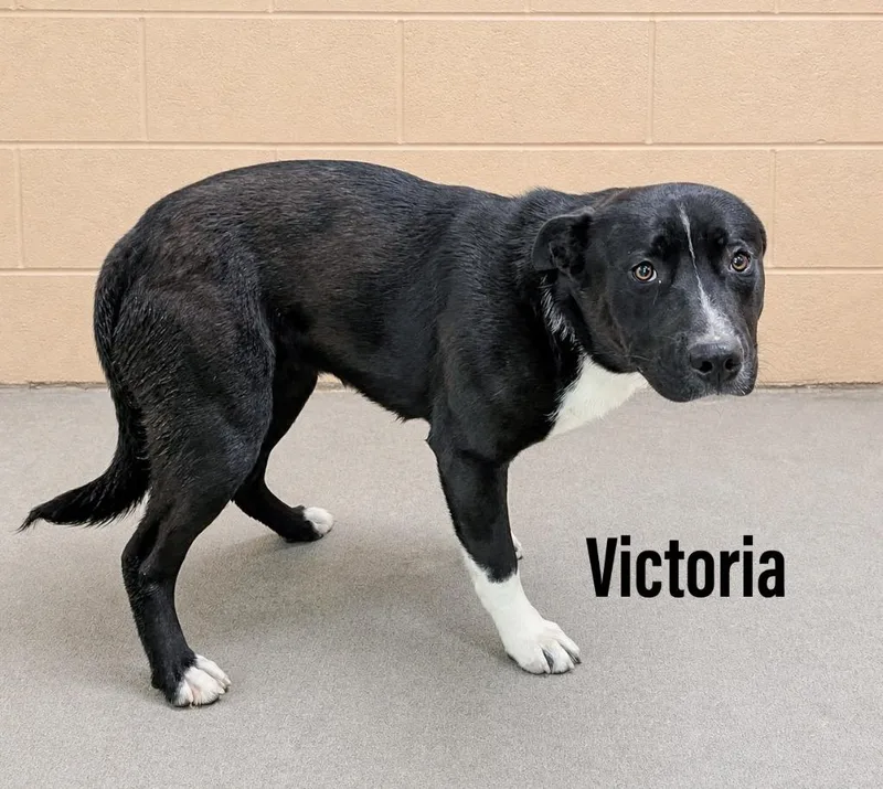 Victoria