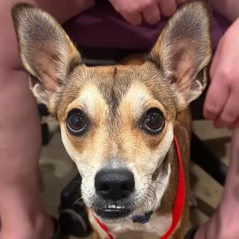 Nellie thumbnail 2