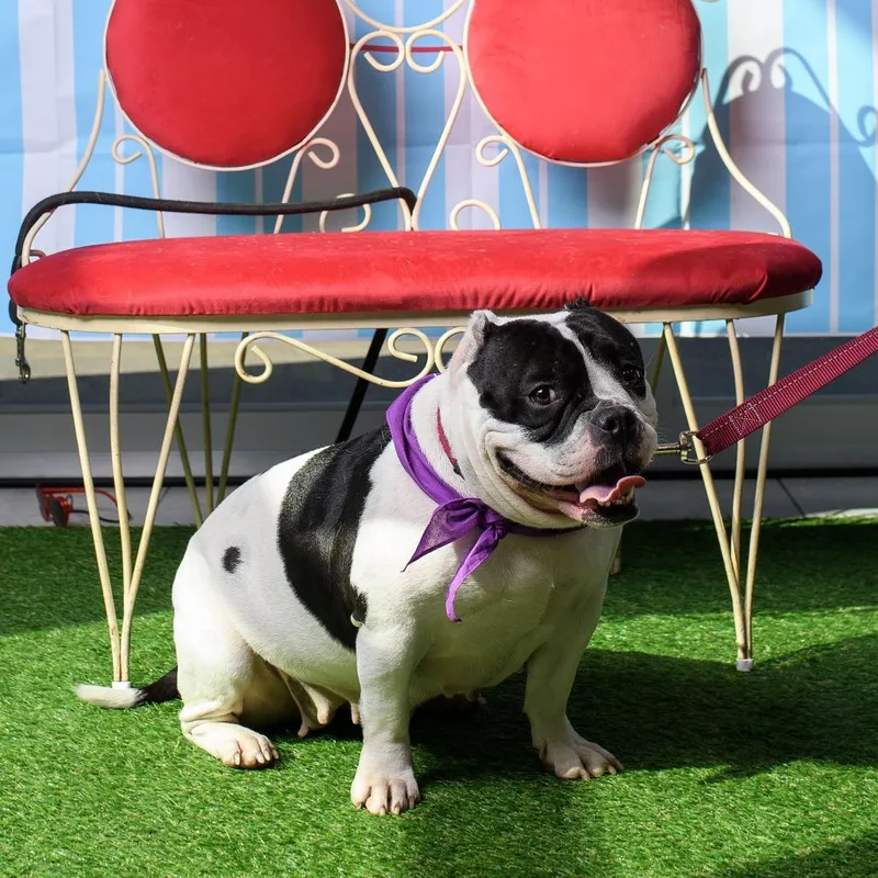 Sapphire thumbnail 4