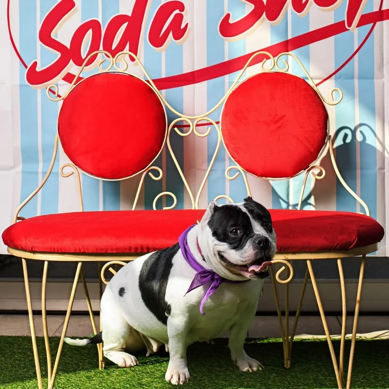 Sapphire thumbnail 5