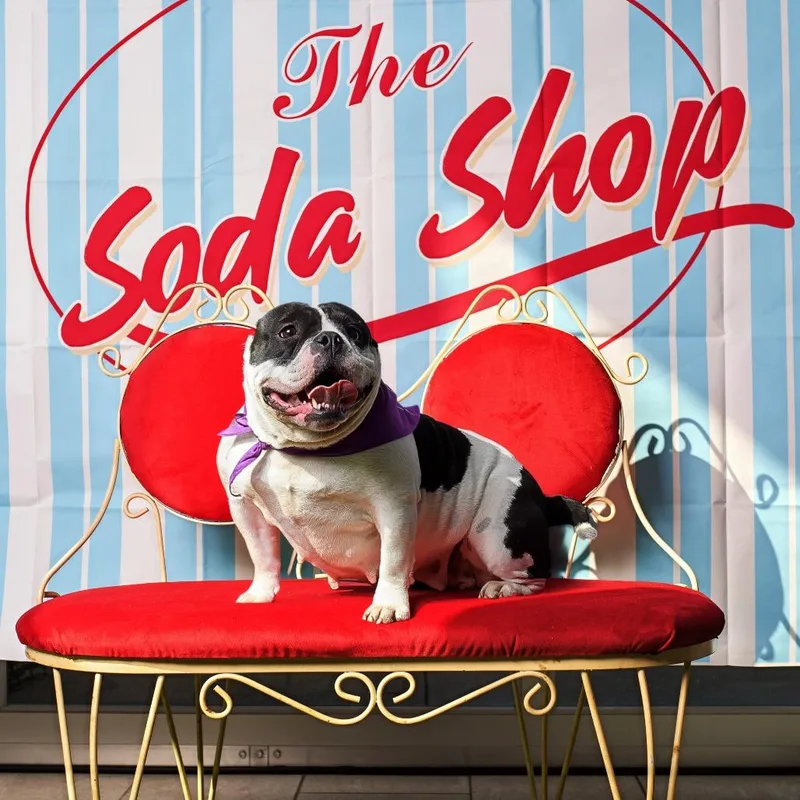 Sapphire thumbnail 6