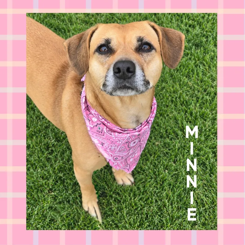 Minnie Pearl thumbnail 3