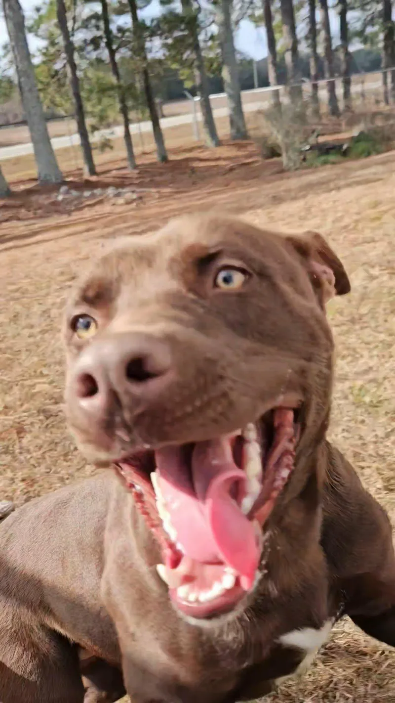 Maverick thumbnail 2