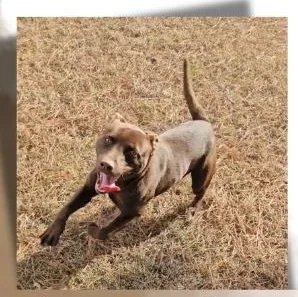 Maverick thumbnail 3