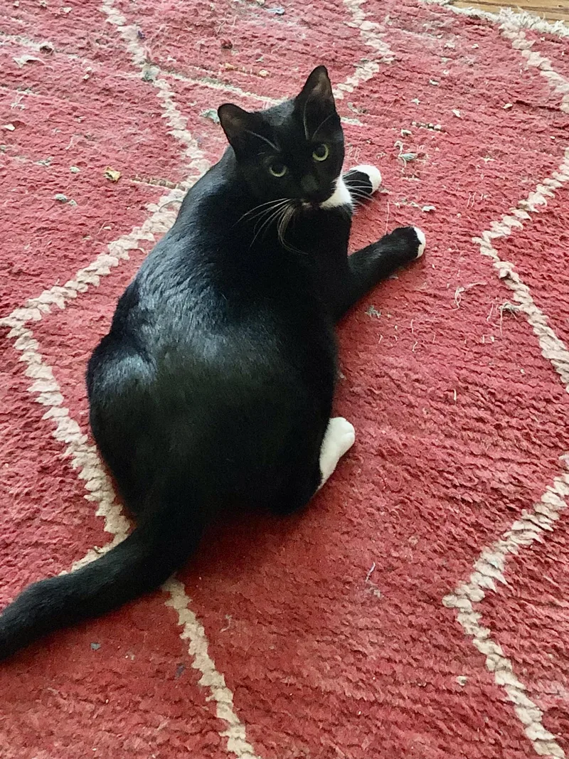 Sascha Walton thumbnail 2