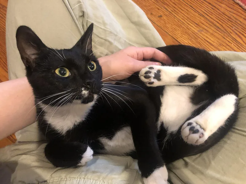 Sascha Walton thumbnail 3