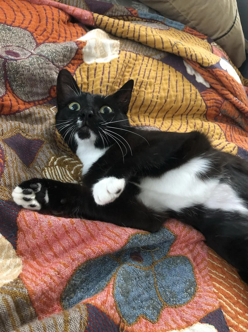 Sascha Walton thumbnail 5