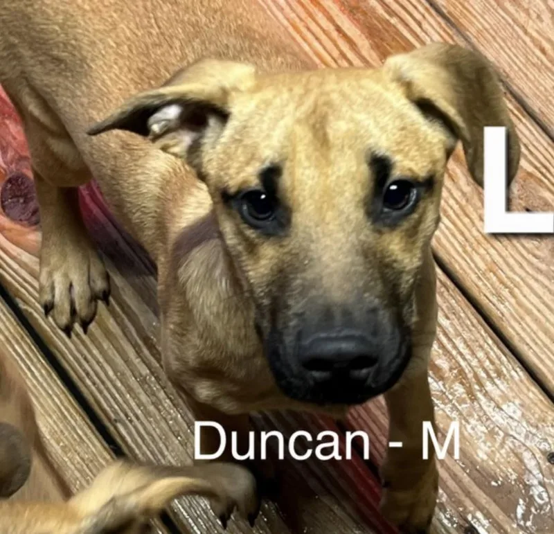 Duncan