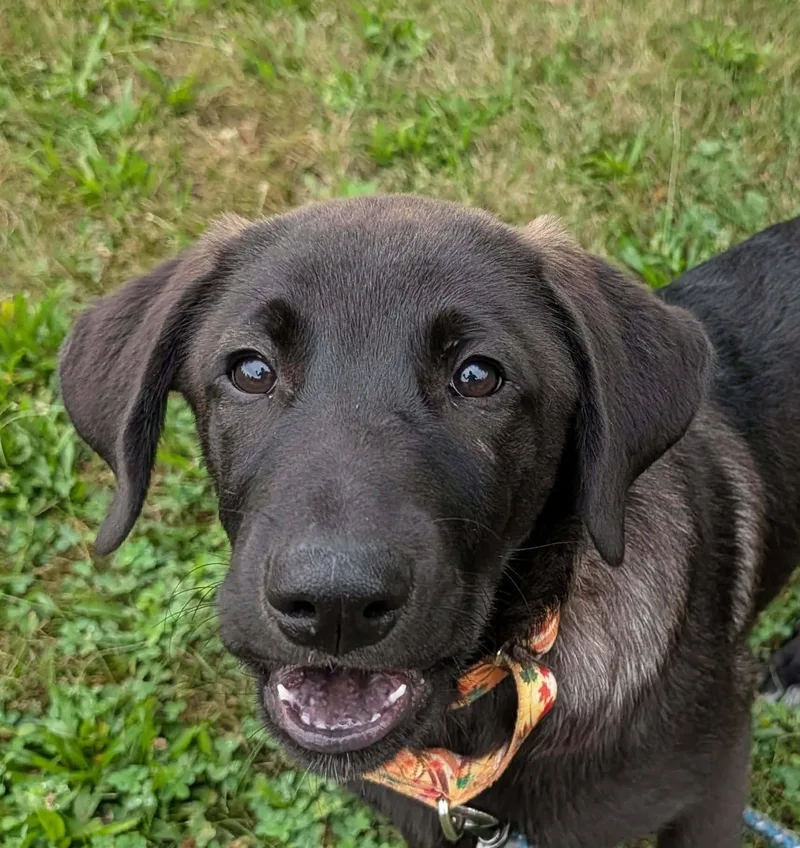 Mia