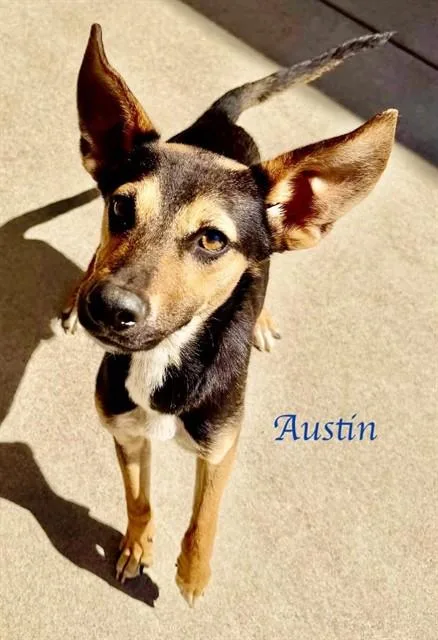 Austin