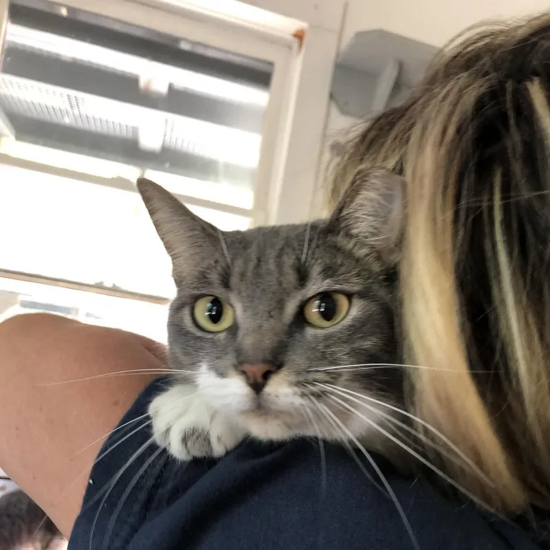 Esmeralda thumbnail 2